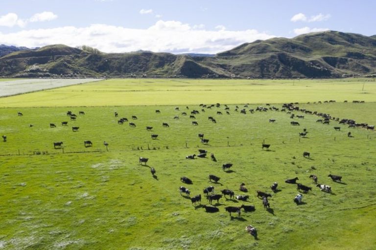 Photo of property in 330 Mahanga Road, Mahia, Nuhaka, 4198