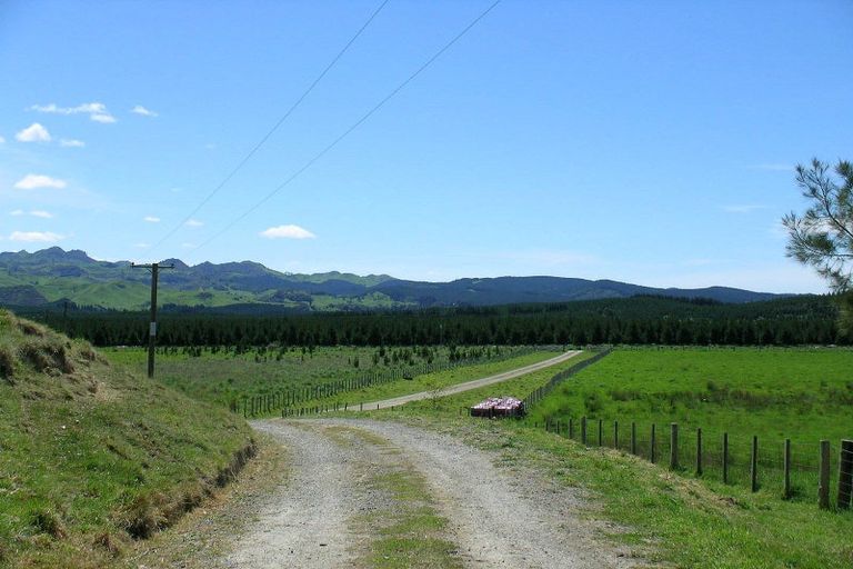 Photo of property in 529 Craigie Lea Road, Te Wharau, Masterton, 5883