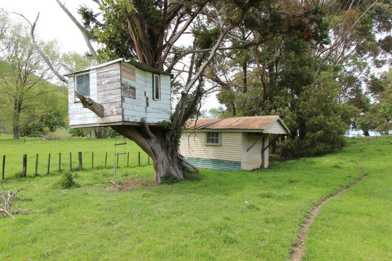 Photo of property in 456 Te Apiti Road, Elsthorpe, Havelock North, 4295