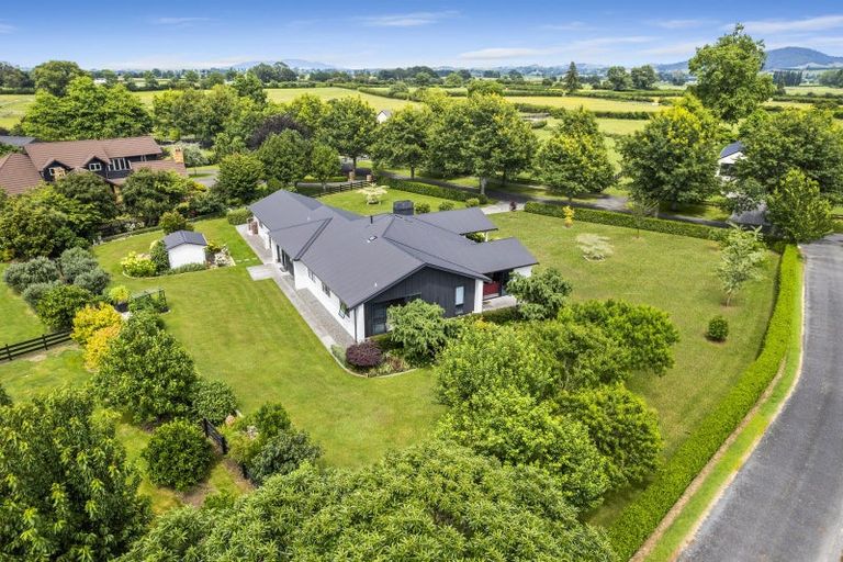 Photo of property in 41 Eldonwood Drive, Matamata, 3400