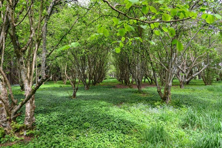 Photo of property in 803f Bruntwood Road, Tamahere, Hamilton, 3283