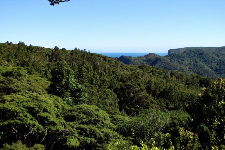 Photo of property in 22 Waikarekare Lane, Karekare, Auckland, 0772