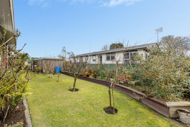 Photo of property in 151b Boucher Avenue, Te Puke, 3119
