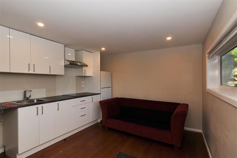 Photo of property in 45 Carlton Street, Melrose, Wellington, 6023