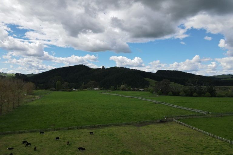 Photo of property in 605 Tirau Road, Cambridge, 3496