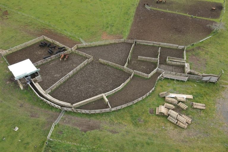 Photo of property in 899 Te Akau Road, Te Akau, Ngaruawahia, 3793