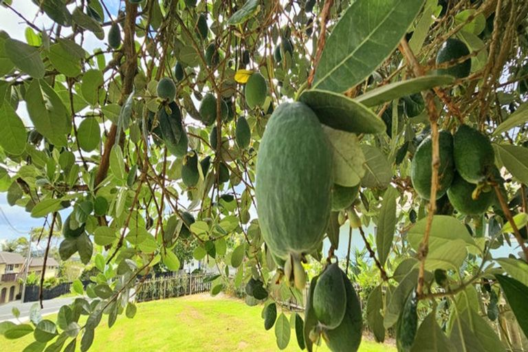 Photo of property in 44 Marsden Point Road, Ruakaka, 0116