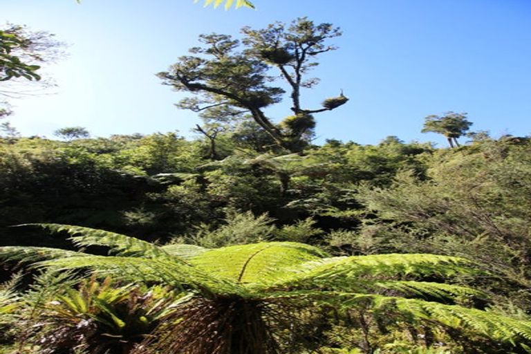 Photo of property in 552 Cuff Road, Erua, Owhango, 3990