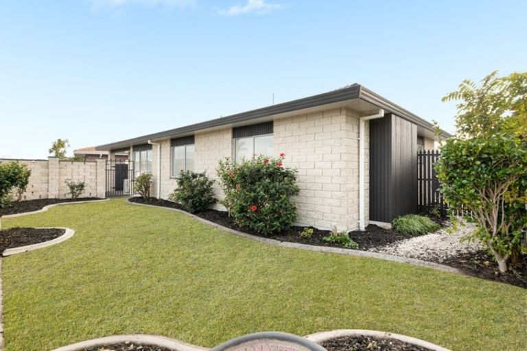 Photo of property in 203a Grenada Street, Mount Maunganui, 3116