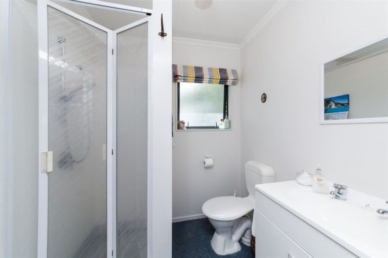 Photo of property in 101 Lincoln Street, Ashhurst, 4810