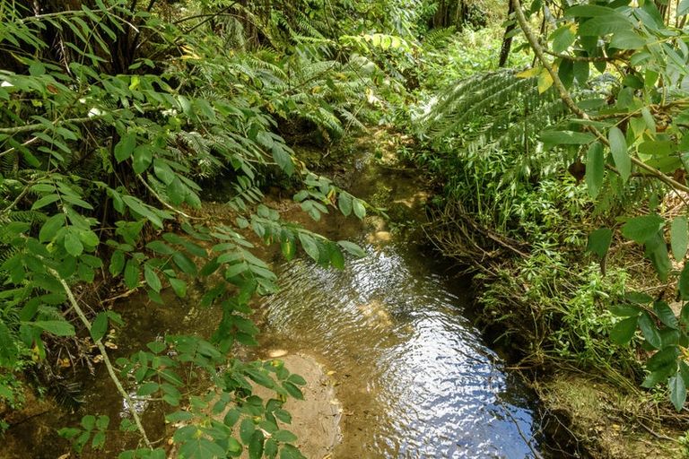 Photo of property in 257d Whakamarama Road, Whakamarama, Tauranga, 3179