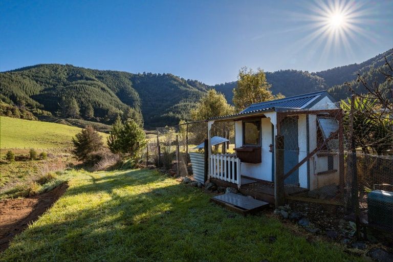 Photo of property in 317 Maungatapu Road, Pelorus Bridge, Rai Valley, 7192