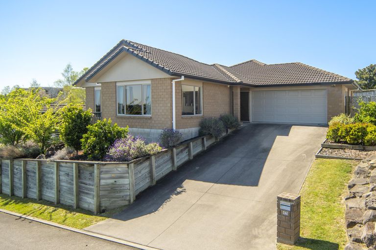Photo of property in 45 Danny Place, Pyes Pa, Tauranga, 3112