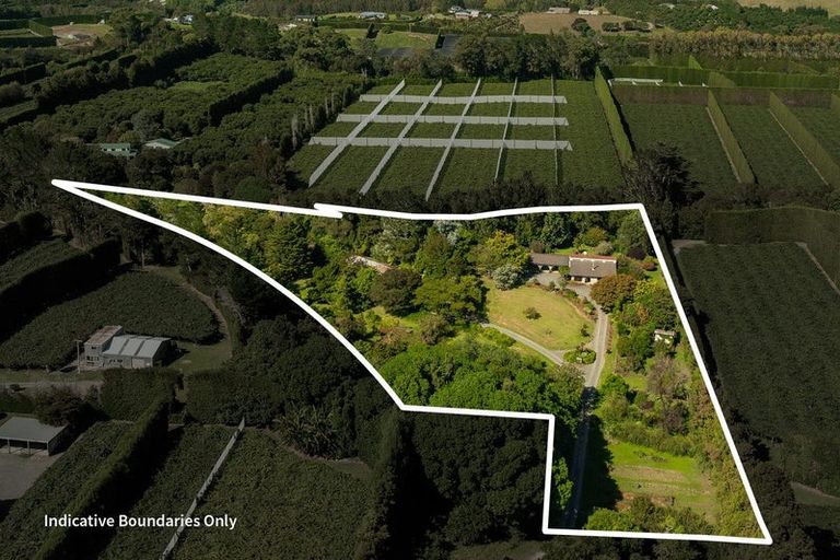 Photo of property in 99b Rea Road, Tahawai, Katikati, 3178