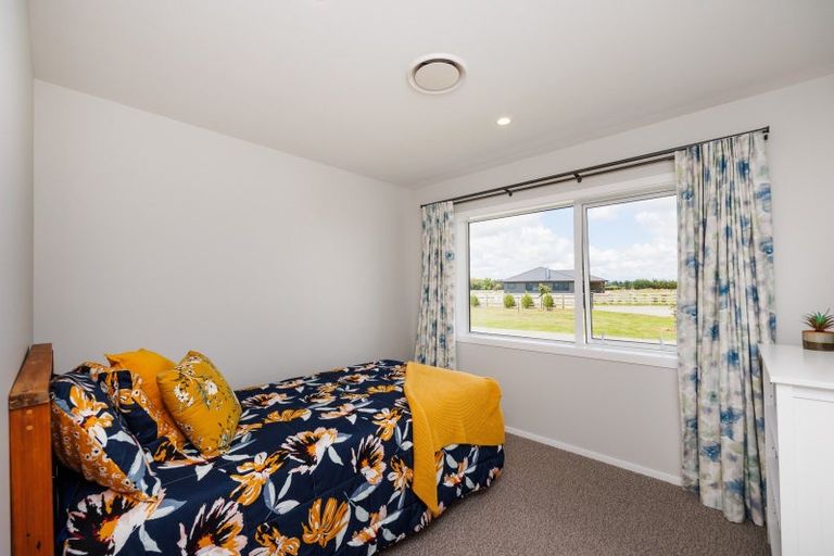 Photo of property in 455a Taonui Road, Colyton, Feilding, 4775