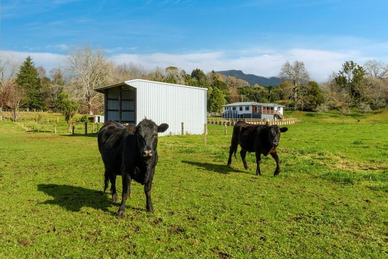 Photo of property in 80 Upland Road, Aongatete, Katikati, 3181