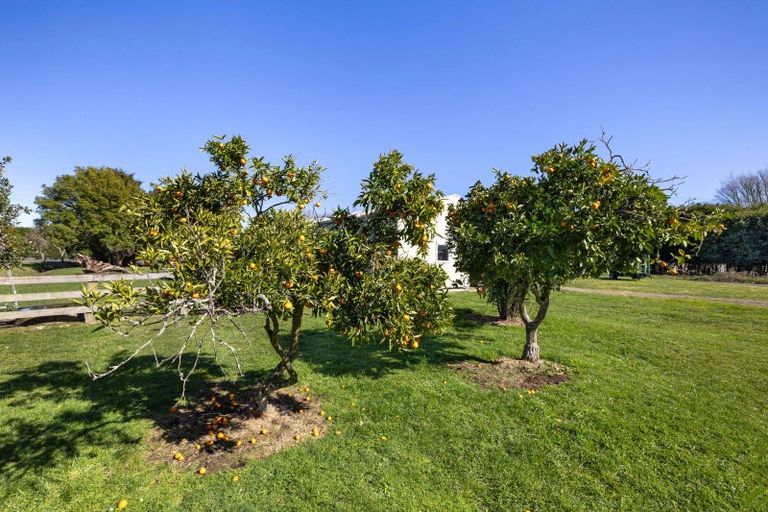 Photo of property in 386 Marshmeadow Road, Newstead, Hamilton, 3286