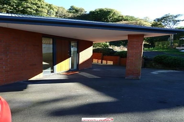 Photo of property in 43b Littlebourne Road, Roslyn, Dunedin, 9010