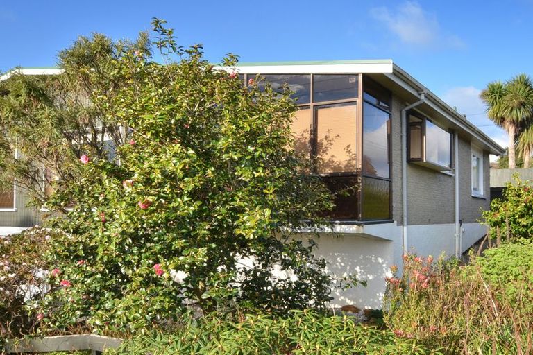 Photo of property in 1b Gresham Street, Tainui, Dunedin, 9013