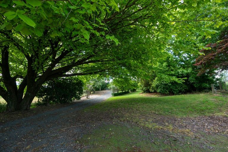 Photo of property in 138 Rawhiti Road, Reporoa, 3081