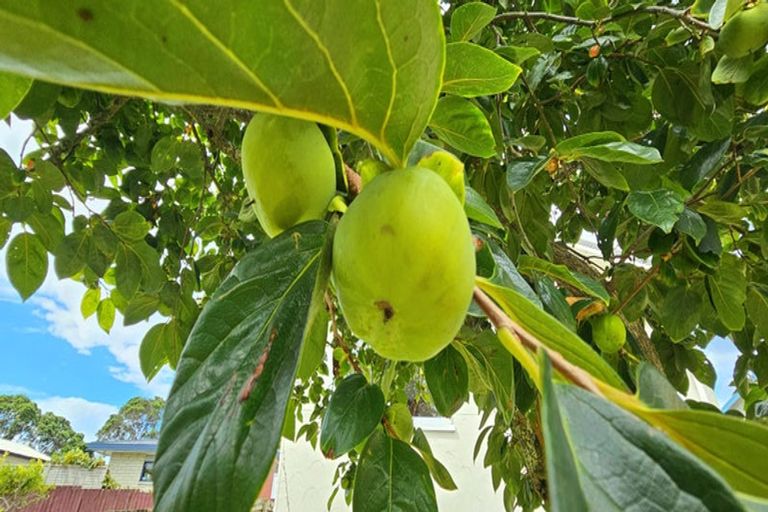 Photo of property in 44 Marsden Point Road, Ruakaka, 0116