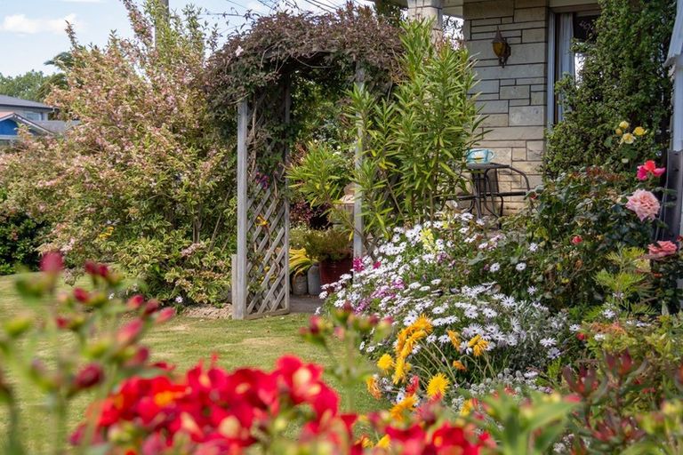 Photo of property in 43 Fergusson Street, Solway, Masterton, 5810