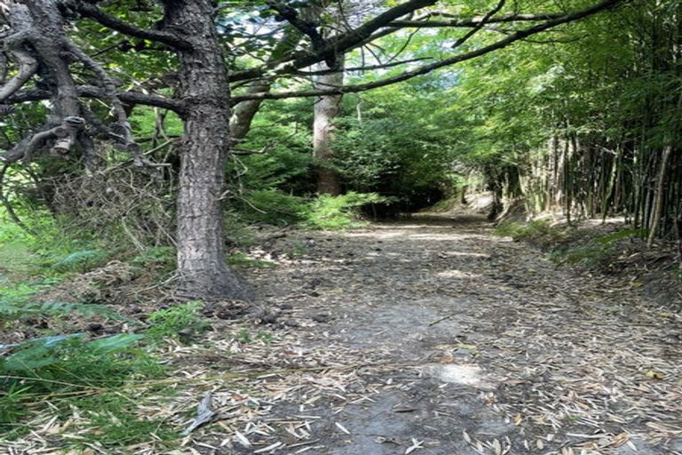 Photo of property in 116 Waimata Valley Road, Makauri, Gisborne, 4071