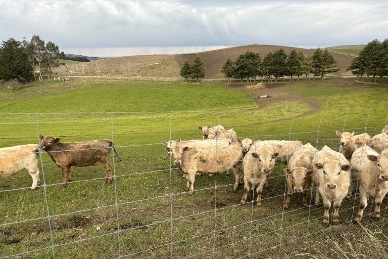 Photo of property in 389 Mount Harris Road, Ikawai, Waimate, 7977