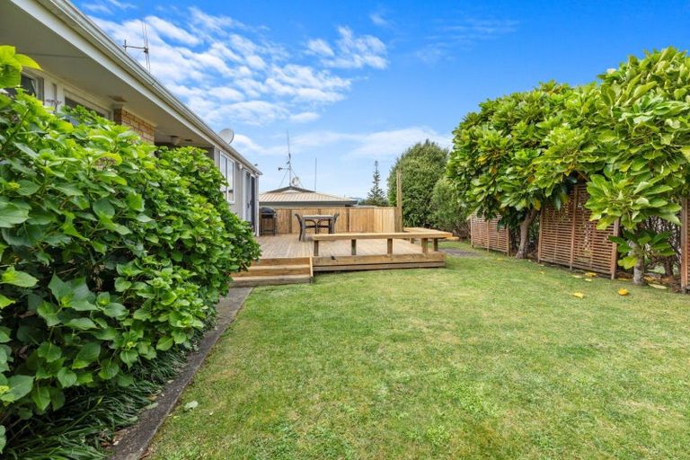 Photo of property in 38 The Drive, Brookfield, Tauranga, 3110