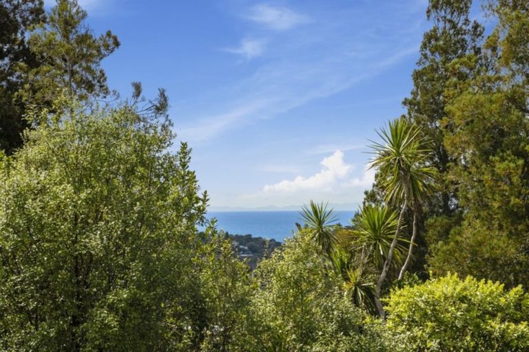 Photo of property in 22 Moorgreen Heights, Torbay, Auckland, 0630