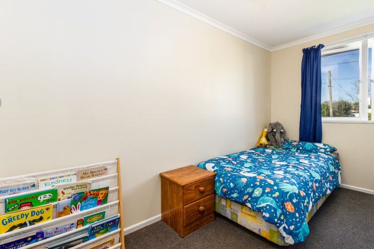 Photo of property in 233 Lumsden Place, Akina, Hastings, 4122