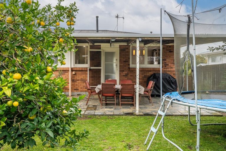 Photo of property in 20 Springfield Crescent, Enderley, Hamilton, 3214