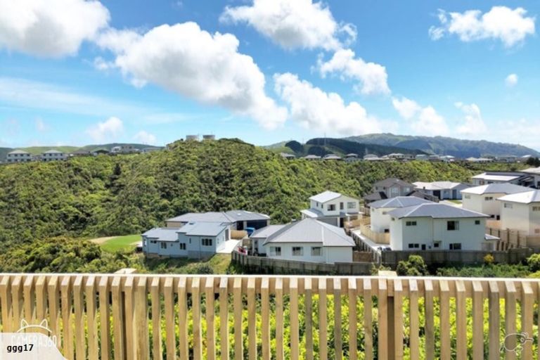 Photo of property in 12 Trelawny Terrace, Grenada Village, Wellington, 6037