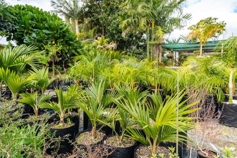 Photo of property in 656 One Tree Point Road, Ruakaka, Whangarei, 0171