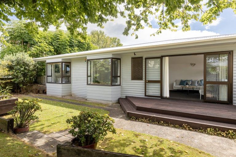 Photo of property in 22a Cook Street, Gate Pa, Tauranga, 3112