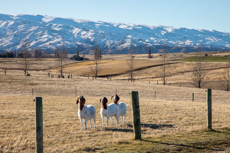 Photo of property in 309 Golden Road, Springvale, Alexandra, 9393