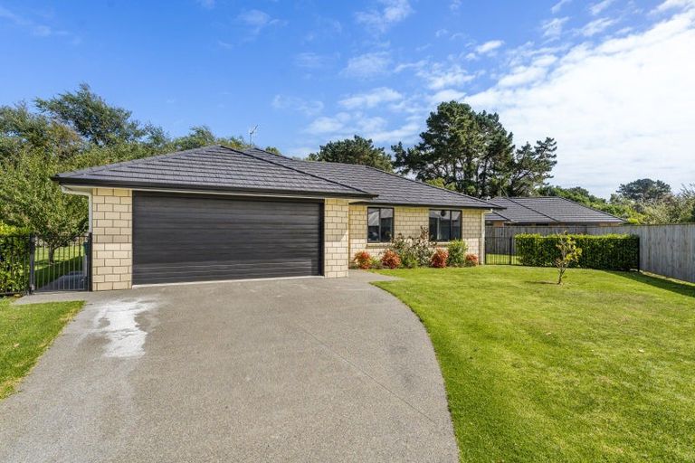 Photo of property in 10 Dow Chung Place, Otaki, 5512