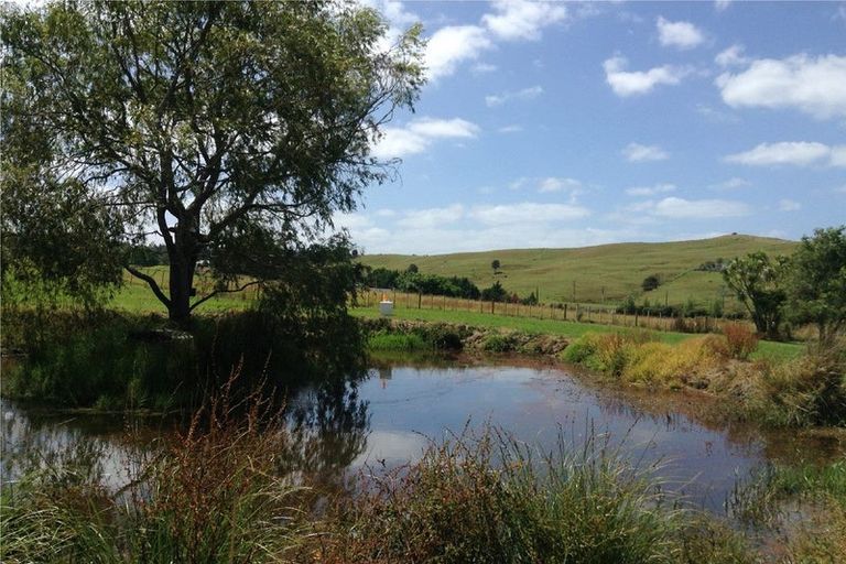 Photo of property in 167 Tara Road, Mangawhai, 0573