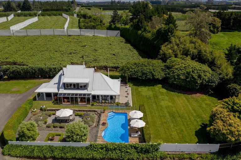 Photo of property in 36 Reeves Road, Te Ranga, Te Puke, 3188