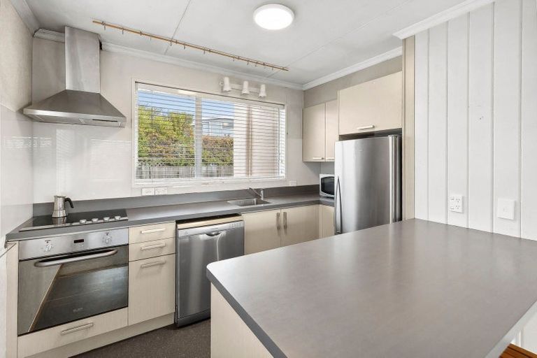 Photo of property in 60 Totara Terrace, Wanaka, 9305