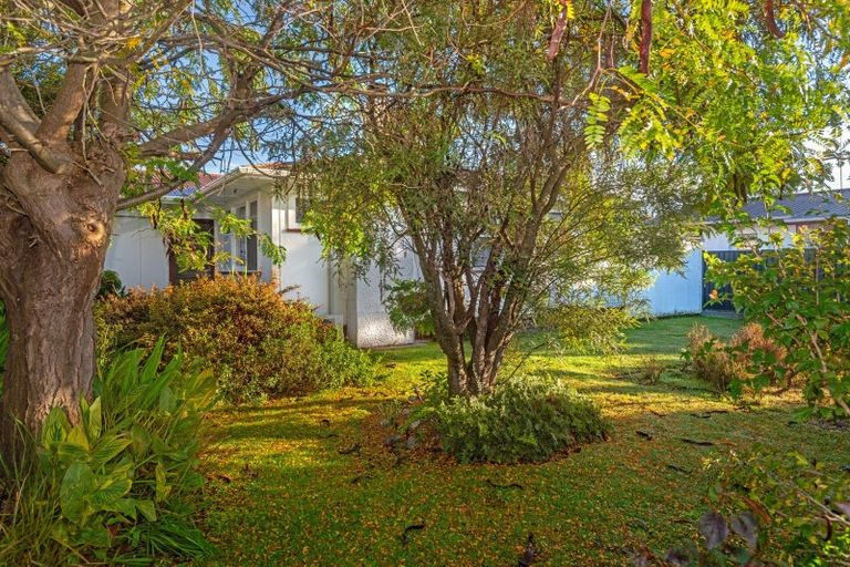 Photo of property in 35 Gordon Street, Mangapapa, Gisborne, 4010