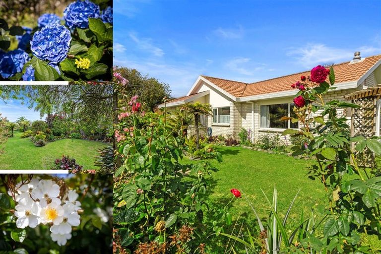 Photo of property in 4 Liftan Place, Mount Maunganui, 3116