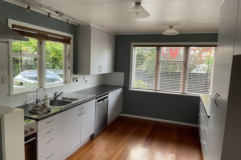 Photo of property in 115 Stanford Street North, Ashhurst, 4810