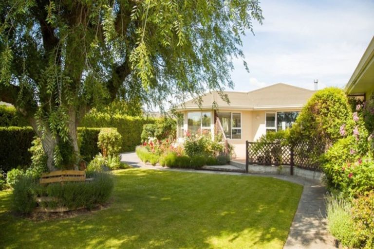 Photo of property in 98 Ventry Street, Alexandra, 9320