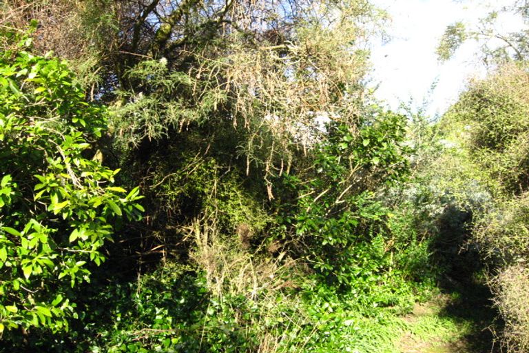 Photo of property in 13 Crescent Street, Purakaunui, Port Chalmers, 9081