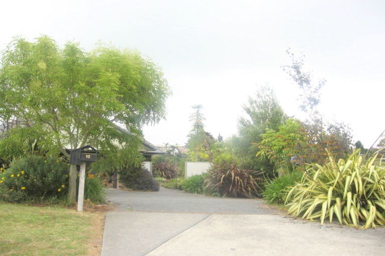 Photo of property in 12 Kiri Place, Te Puke, 3119