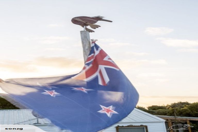 Photo of property in 51 Walker Street, Bluff, 9814