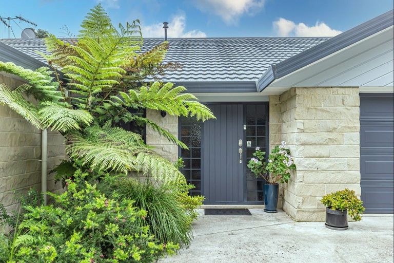 Photo of property in 87 Macarthur Street, Levin, 5510