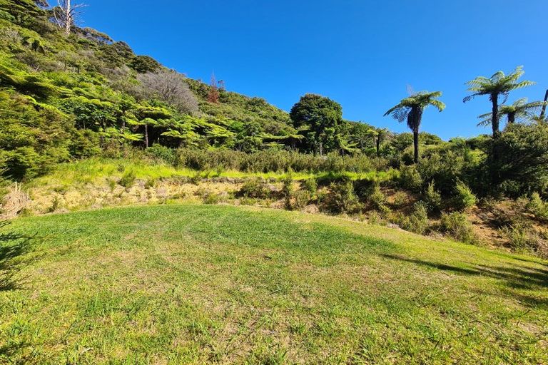 Photo of property in 1092 Driving Creek Road, Coromandel, 3583