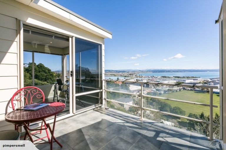 Photo of property in 30 Hospital Terrace, Hospital Hill, Napier, 4110